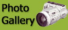 photo gallery